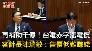 CTWANT 政治新聞 / 再補助千億！台電赤字漲電價　審計長陳瑞敏：售價低難賺錢