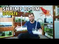 Crossbreeding Shrimp, New Tank Setups & New Epic UGF designs