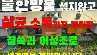 물한방울 섞지않고  살균소독까지 겸비한 참쑥과 어성초로 내검액을 개발했습니다