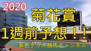 【1週前予想】2020菊花賞！今年はタフな馬場も鍵になりそう！コントレイルは？