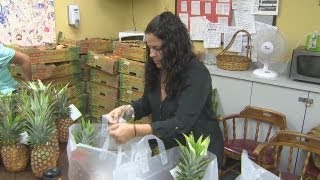 Giving food to Head Start kids