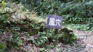 松之山温泉山の森のホテルふくずみ