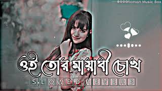 Oi Tor Mayabi Chokh | ওই তোর মায়াবী চোখ | (Slowed+Reverb) Bangla Lofi Song | Bangla Song 2023