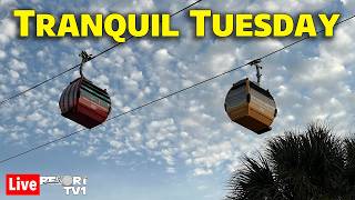 🔴Live: Tranquil Tuesday - A Relaxing Evening on the Disney Skyliner - 4-7-26 - Walt Disney World
