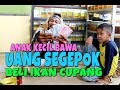 TRENDING 1 - ANAK KECIL BAWA UANG SEGEPOK PENGEN BELI IKAN CUPANG