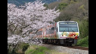 2020/3/29 37D 特急南風7号 アンパンマン列車オレンジ 坪尻～箸蔵にて。