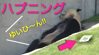 【結浜🎀ハプニング❗️また人間疑惑細ーくなってすみっコぐらし飼育員さんに呼ばれても眠気優先】 お風呂🛀 #ぽめぱん #PandaChannelbypomeranianfilm