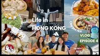 HONG KONG 2024 Pt.4 Michelin Guide restaurants in 旺角 Mong Kok, famous mochi,  BEST Buffet #travel