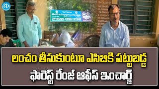 లంచం తీసుకుంటూ ఎసిబికి పట్టుబడ్డ  ఫారెస్ట్ రేంజ్ ఆఫీస్ ఇంచార్జ్ || Rampachodavaram || iDream