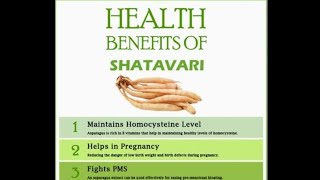 SHATAVARI  USES  IN TREATMENTS