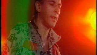 John Cale - Chinese Envoy Live