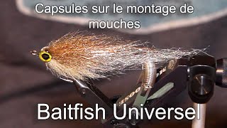 77- Baitfish Universel HD