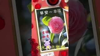 好友友👫早安美好💗 歌曲【舞 女】🎵