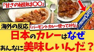 【海外の反応】日本のカレーを再現しようとするも、日本特有の『甘さ』が出ないで苦戦する反応集