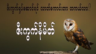 ဇီးကွက်ရုပ်ဆောင်ရင် လာဘ်ကောင်းတာ တကယ်လား ဇီးကွက်နိမိတ်အကြောင်း