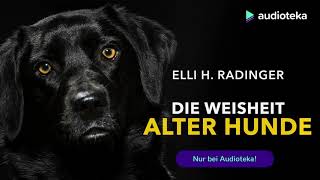 Die Weisheit alter Hunde | Kostenloses Kapitel