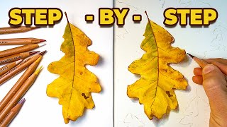 How to Draw an Autumn Leaf. EASY Step-By-Step Colored Pencil TUTORIAL.