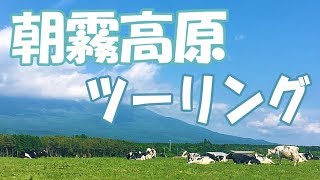 【女ライダー】朝霧高原ツーリング【モトブログ】