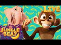 🔴  Jungle Beat LIVE! | The Adventures of Munki & Trunk | Kids Cartoon 2024