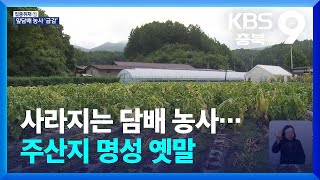 [집중취재] 사라지는 담배 농사…주산지 명성 옛말 / KBS  2025.02.14.