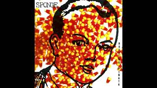 Sponge - Rainin' (1994)
