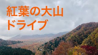 国立公園大山　紅葉　ドライブ