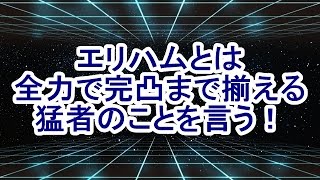 【星ドラ】エリハムとは全力で完凸まで揃える猛者のことを言う！