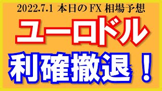 【ユーロドル】涙の利確撤退！月末相場で荒れて急騰！ドル円は134.267で買いたいシナリオ解説！【2022/7/1.FX相場予想】