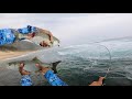 SHAD THROW FOR THROW!!! Fishing Durban. South Coast.