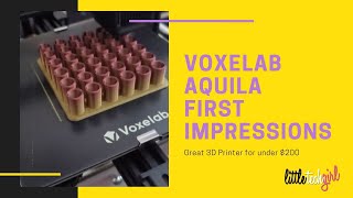 Voxelab Aquila 3D Printer First Impressions
