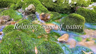 【自然音4K】 円原川の小さなせせらぎ 自然の音 Relaxing sound of nature 3h 【リラックス 睡眠 癒し ASMR】   4K