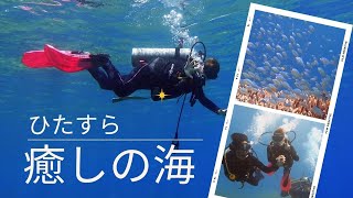 【バリ島アメッド】ひたすら癒しの海