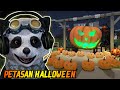 Poo Panda Cobain Petasan Halloween!!! - Fireworks Mania Indonesia #2