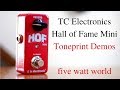 TC Electronics Hall of Fame Mini Toneprint Demos