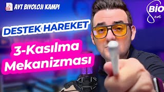 Destek Hareket-3 Kasılma Mekanizması | Ayt Biyoloji Konu Anlatımı 11. Sınıf | 2024