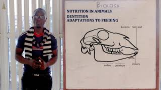 18. Nutrition in Animals Biology Form 1