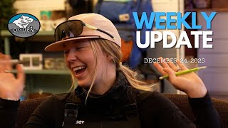 Possible rain, wind slabs and the persistent weak layer remains // Ogden Avalanche Weekly Update