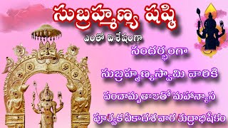 #సుబ్రహ్మణ్యషష్ఠి || సందర్భంగా || ఎంతోవిశేషంగా || పంచామృతాలతోమహాన్యాస || పూర్వక రుద్రాభిషేకం #vlog