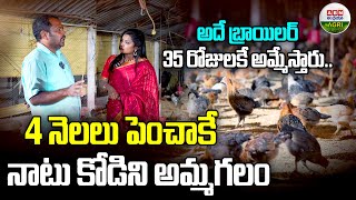 నాటు కోళ్లు 4 నెలలు పెంచితేనే, ఆ సైజ్ వస్తుంది |Counry Chicken Should Be Reared for 4Months -ABNAgri