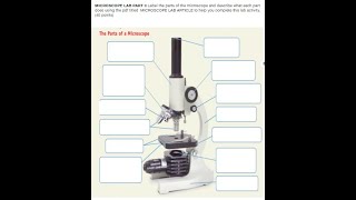 Chapter 1 Lesson 1: Microscope Lab Quiz