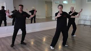 Tai Chi for Arthritis and Fall Prevention Demonstration