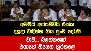 අම්මයි අප්පච්චියි එක්ක දළදා වඳින්න ගිය පුංචි දෝණි - වාව්... බලන්නකෝ එයාගේ තියෙන හුරතලේ...