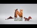 viasat nature idents reupload