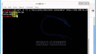 Shellshock Exploit (CVE-2014-6271)