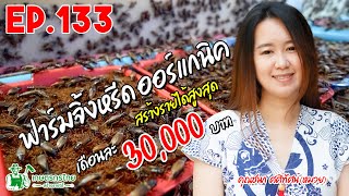 ฟาร์มจิ้งหรีด ออร์แกนิค สร้างสร้างรายได้สูงสุด 30,000 บาท/เดือน l เกษตรกรไทย สร้างรายได้ Ep133