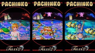 【ぱちんこGAME 】縦型！PACHINKOスーパー海物語M55W /2025年2日13日❶❣️❣️【実機/リアル】感謝❣️