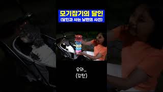 [여름특집] 모기잡기의 달인편 (ft. 놀라는 남편)