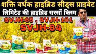 SVJH-65, SVHH-84, SVJH-101 हाइब्रिड सरसों Hybrid Mustard | शक्ति वर्धक हाइब्रिड सीड़्स