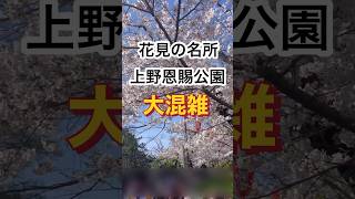 桜の名所上野恩賜公園／大混雑／大行列#shorts #japan #旅行 #東京 #tokyo #桜 #sakura #spring #上野動物園 #桜名所 #花見