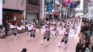 竜宮の遣い　～2014高知よさこい祭り・本祭２日目(帯屋町演舞場)